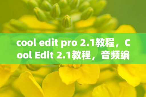 cool edit pro 2.1教程,Cool Edit 2.1教程,音频编辑与混音的艺术 cool edit pro 2.1教程,Cool Edit 2.1教程,音频编辑与混音的艺术
