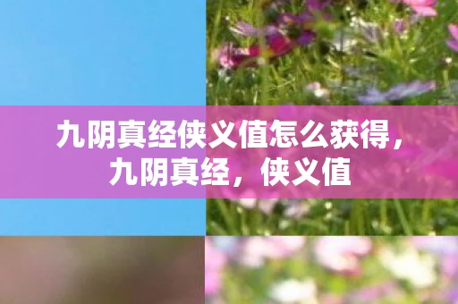 九阴真经侠义值怎么获得,九阴真经,侠义值 九阴真经侠义值怎么获得,九阴真经,侠义值
