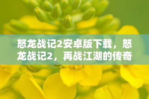 怒龙战记2安卓版下载，怒龙战记2，再战江湖的传奇