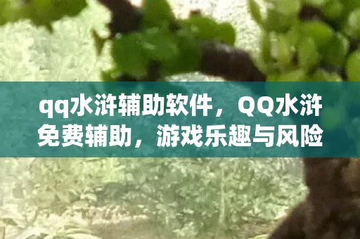 qq水浒辅助软件，QQ水浒免费辅助，游戏乐趣与风险并存