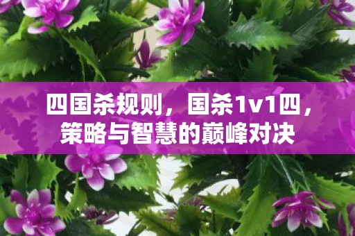 四国杀规则,国杀1v1四,策略与智慧的巅峰对决 四国杀规则,国杀1v1四,策略与智慧的巅峰对决