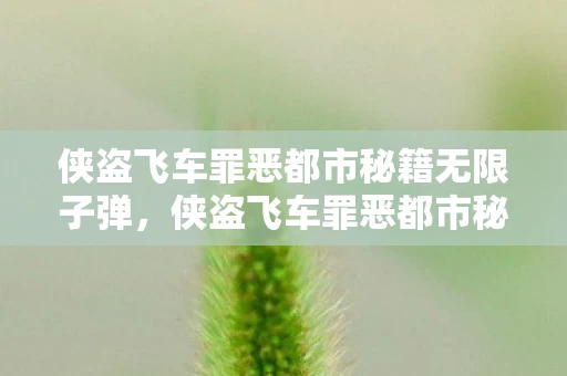 侠盗飞车罪恶都市秘籍无限子弹，侠盗飞车罪恶都市秘籍，解锁无限财富与乐趣