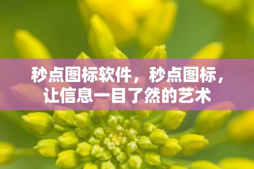 秒点图标软件，秒点图标，让信息一目了然的艺术