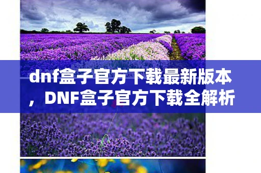 dnf盒子官方下载最新版本，DNF盒子官方下载全解析，安全、高效、便捷的游戏体验
