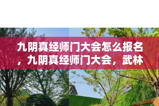 九阴真经师门大会怎么报名，九阴真经师门大会，武林中的巅峰对决