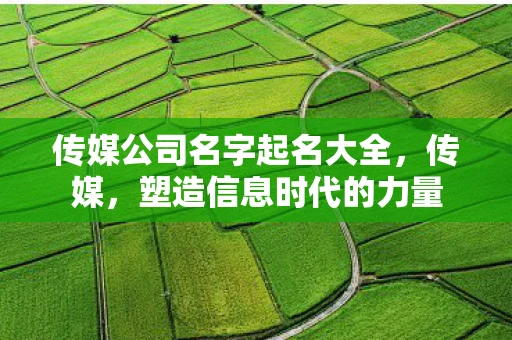 传媒公司名字起名大全,传媒,塑造信息时代的力量 传媒公司名字起名大全,传媒,塑造信息时代的力量