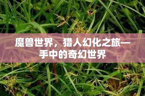 手中的奇幻世界图片