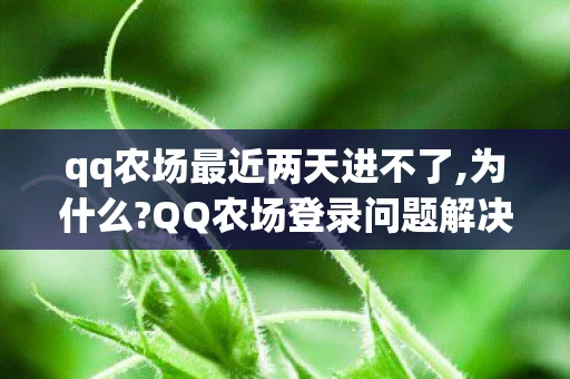 qq农场最近两天进不了,为什么?QQ农场登录问题解决方案