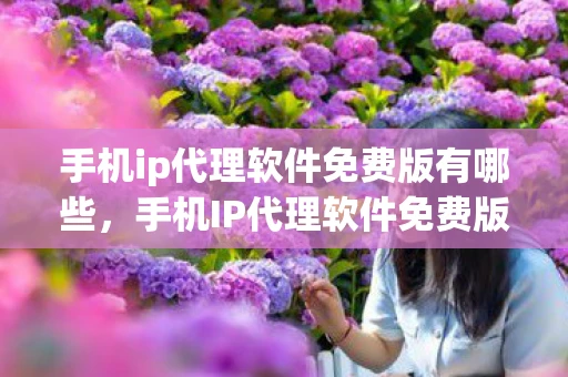 手机ip代理软件免费版有哪些，手机IP代理软件免费版，解锁网络限制，保护隐私的利器