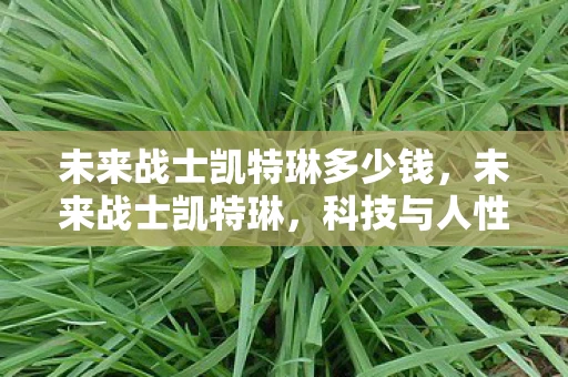 未来战士凯特琳多少钱，未来战士凯特琳，科技与人性的交响曲