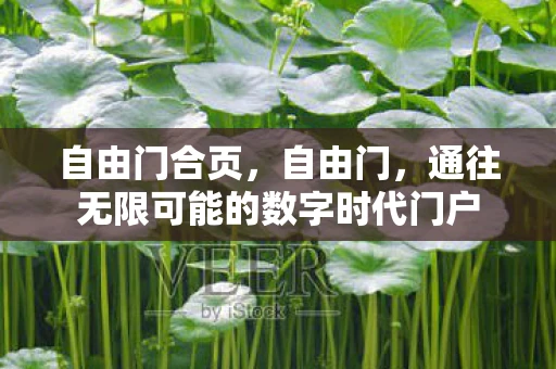 自由门合页，自由门，通往无限可能的数字时代门户