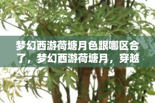 梦幻西游荷塘月色跟哪区合了,梦幻西游荷塘月,穿越时空的浪漫邂逅 梦幻西游荷塘月色跟哪区合了,梦幻西游荷塘月,穿越时空的浪漫邂逅