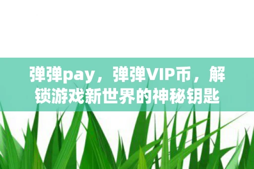 弹弹pay，弹弹VIP币，解锁游戏新世界的神秘钥匙