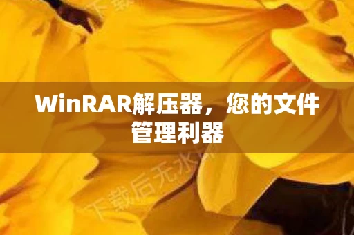WinRAR解压器图片
