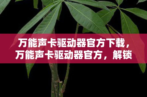 万能声卡驱动器官方下载，万能声卡驱动器官方，解锁音频世界的钥匙