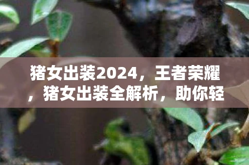 猪女出装2024，王者荣耀，猪女出装全解析，助你轻松上王者