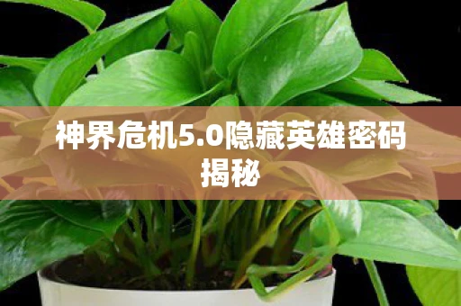 神界危机5.0隐藏英雄密码揭秘