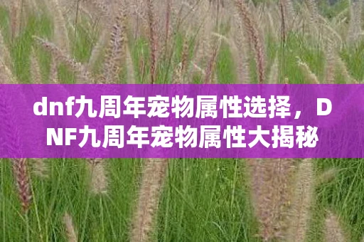 dnf九周年宠物属性选择，DNF九周年宠物属性大揭秘，打造你的专属战斗伙伴