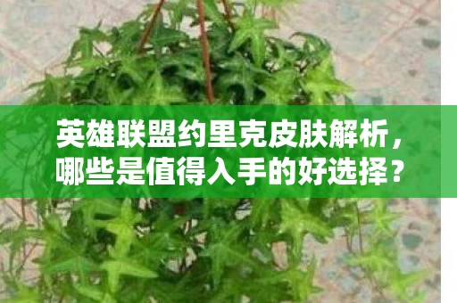 英雄联盟约里克皮肤解析图片