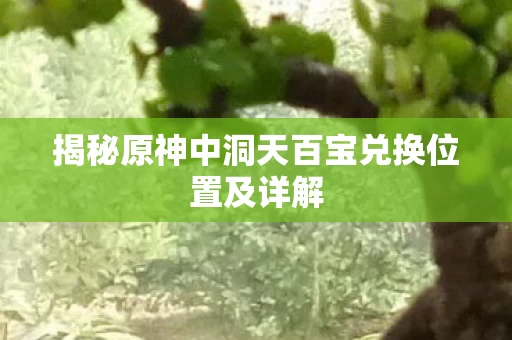 揭秘原神中洞天百宝兑换位置及详解图片