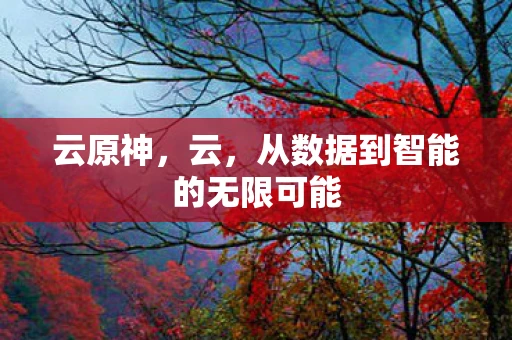 云原神，云，从数据到智能的无限可能
