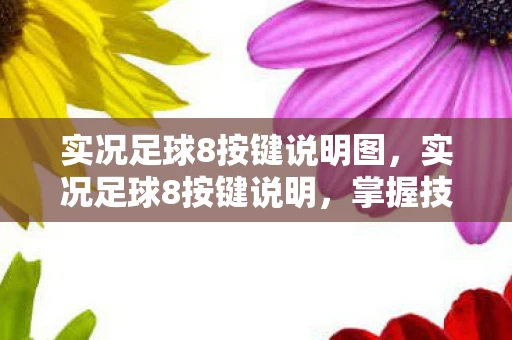 实况足球8按键说明图,实况足球8按键说明,掌握技巧,提升游戏水平 实况足球8按键说明图,实况足球8按键说明,掌握技巧,提升游戏水平