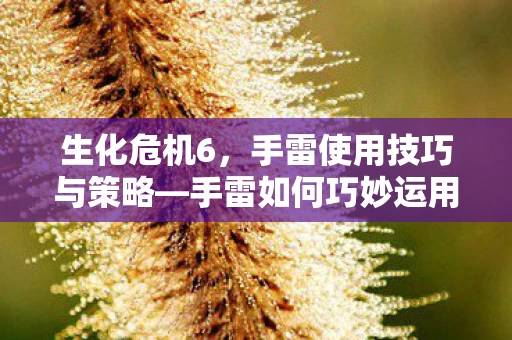 手雷使用技巧与策略图片