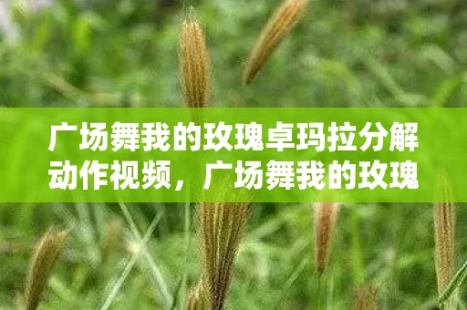 广场舞我的玫瑰卓玛拉分解动作视频，广场舞我的玫瑰卓玛拉分解动作详解