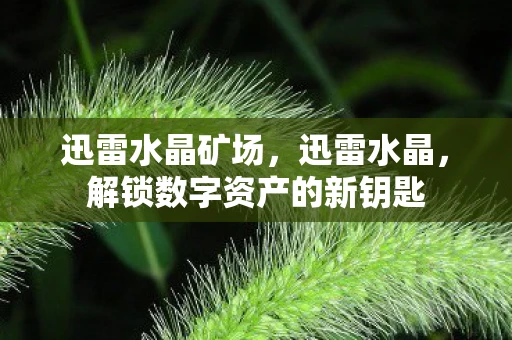 迅雷水晶矿场，迅雷水晶，解锁数字资产的新钥匙