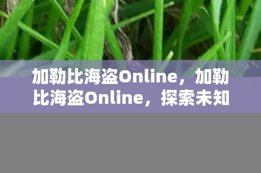 加勒比海盗Online，加勒比海盗Online，探索未知海域的冒险之旅