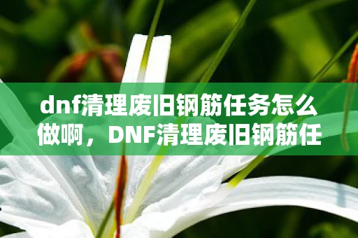 dnf清理废旧钢筋任务怎么做啊，DNF清理废旧钢筋任务全攻略，从入门到精通