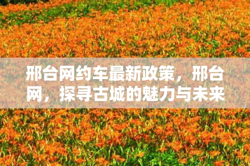 邢台网约车最新政策，邢台网，探寻古城的魅力与未来