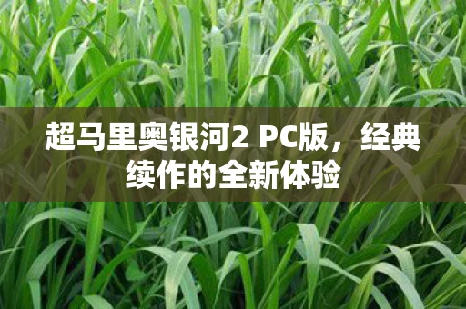 超马里奥银河2 PC版，经典续作的全新体验