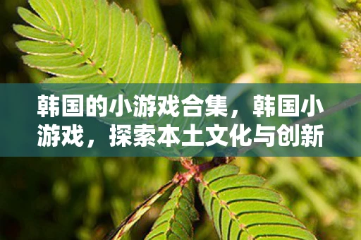 韩国的小游戏合集，韩国小游戏，探索本土文化与创新科技的完美融合