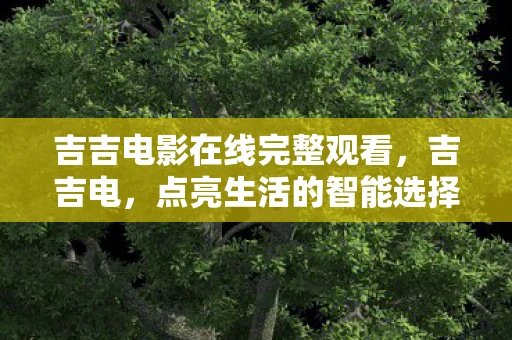 吉吉电影在线完整观看，吉吉电，点亮生活的智能选择