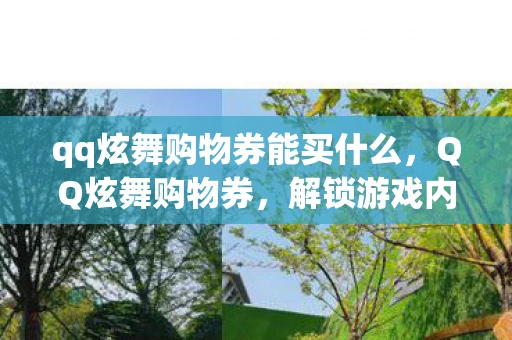 qq炫舞购物券能买什么，QQ炫舞购物券，解锁游戏内购物的秘密武器