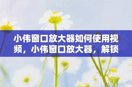 小伟窗口放大器如何使用视频,小伟窗口放大器,解锁电脑屏幕的新视界 小伟窗口放大器如何使用视频,小伟窗口放大器,解锁电脑屏幕的新视界