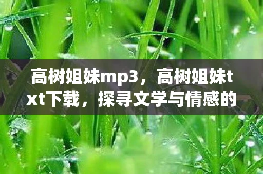 高树姐妹mp3，高树姐妹txt下载，探寻文学与情感的深度交汇
