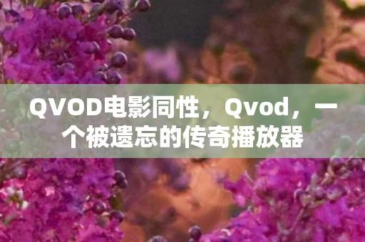 QVOD电影同性，Qvod，一个被遗忘的传奇播放器