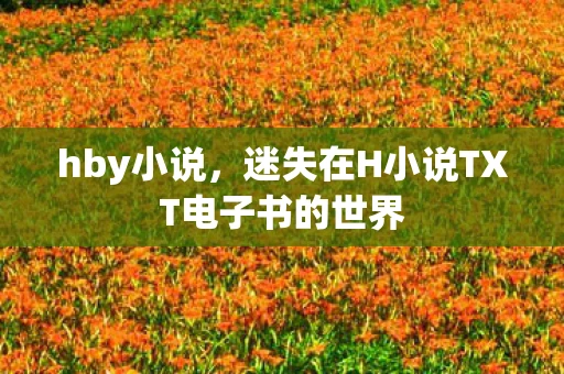 hby小说,迷失在H小说TXT电子书的世界 hby小说,迷失在H小说TXT电子书的世界