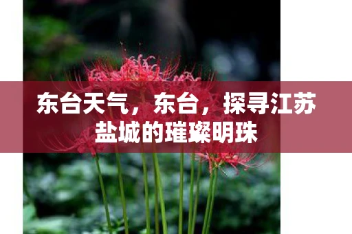 东台天气，东台，探寻江苏盐城的璀璨明珠