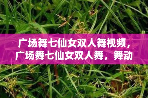 广场舞七仙女双人舞视频，广场舞七仙女双人舞，舞动中的古典美与现代韵