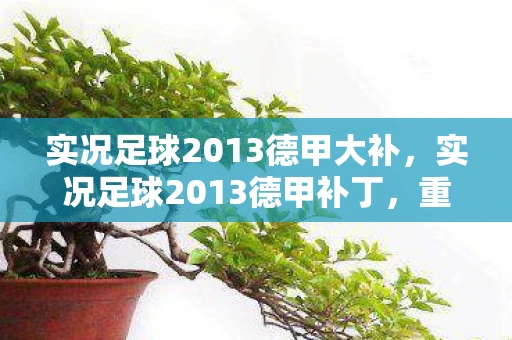 实况足球2013德甲大补，实况足球2013德甲补丁，重塑经典，再现辉煌