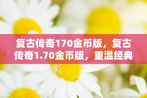 复古传奇170金币版，复古传奇1.70金币版，重温经典，再燃激情
