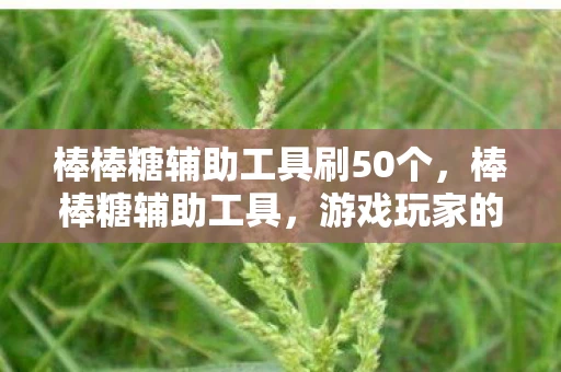 棒棒糖辅助工具刷50个，棒棒糖辅助工具，游戏玩家的得力助手