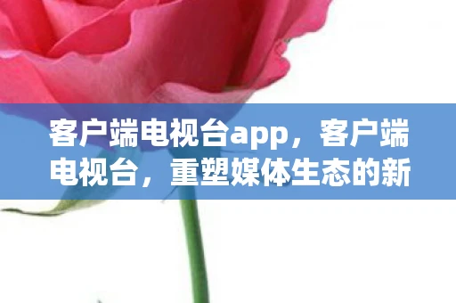 客户端电视台app，客户端电视台，重塑媒体生态的新篇章
