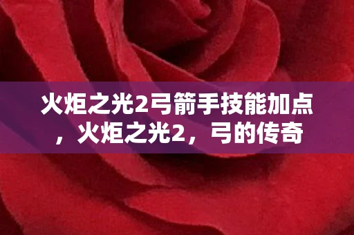 火炬之光2弓箭手技能加点，火炬之光2，弓的传奇