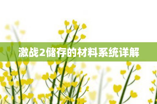 激战2储存的材料系统详解图片
