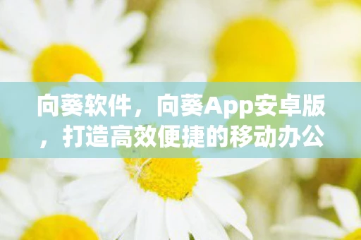 向葵软件，向葵App安卓版，打造高效便捷的移动办公新体验