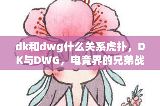 dk和dwg什么关系虎扑，DK与DWG，电竞界的兄弟战队